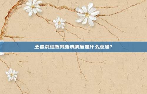 王者荣耀服务器未响应是什么意思?