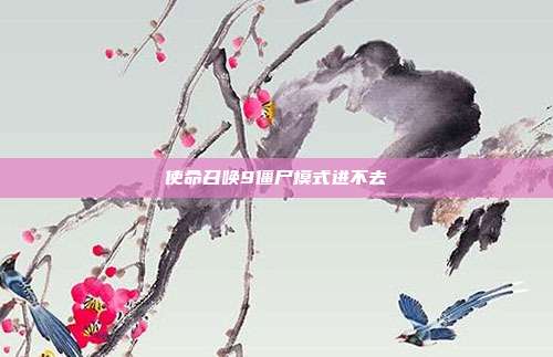 使命召唤9僵尸模式进不去