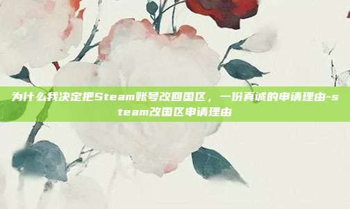 为什么我决定把Steam账号改回国区,一份真诚的申请理由-steam改国区申请理由