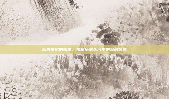 斯内维尔的账本，揭秘历史长河中的金融智慧
