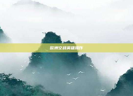 欧洲空战英雄操作