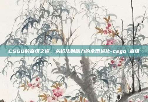 CSGO的高级之道,从枪法到脑力的全面进化-csgo 高级