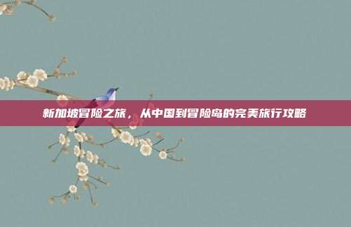 新加坡冒险之旅,从中国到冒险岛的完美旅行攻略