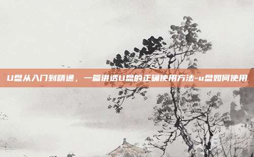 U盘从入门到精通，一篇讲透U盘的正确使用方法-u盘如何使用