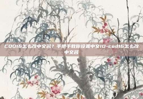 COD16怎么改中文名？手把手教你设置中文ID-cod16怎么改中文名