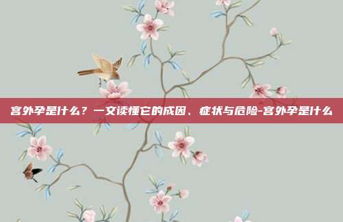 宫外孕是什么？一文读懂它的成因、症状与危险-宫外孕是什么