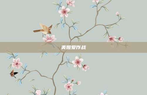美姬爱作战