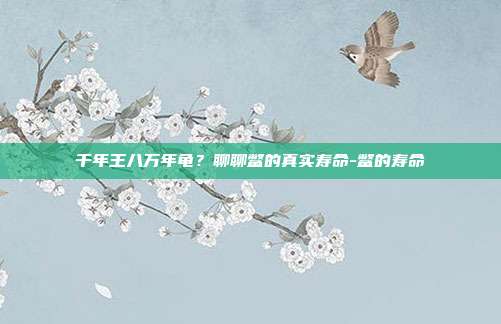 千年王八万年龟?聊聊鳖的真实寿命-鳖的寿命