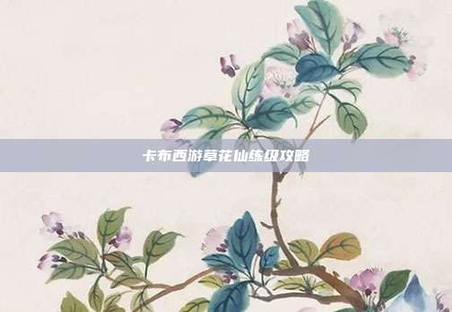 卡布西游草花仙练级攻略
