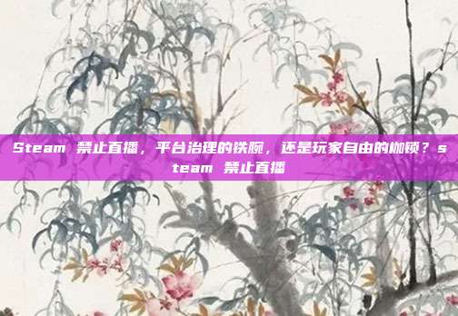 Steam 禁止直播，平台治理的铁腕，还是玩家自由的枷锁？steam 禁止直播