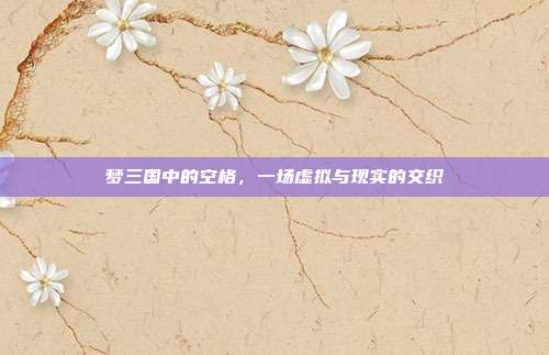 梦三国中的空格，一场虚拟与现实的交织