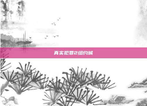 真实犯罪2纽约城