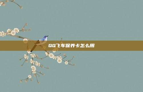 QQ飞车保养卡怎么用