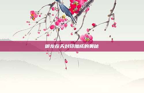御龙在天封印加成的奥秘