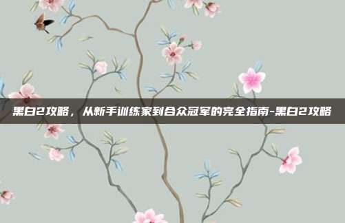 黑白2攻略，从新手训练家到合众冠军的完全指南-黑白2攻略