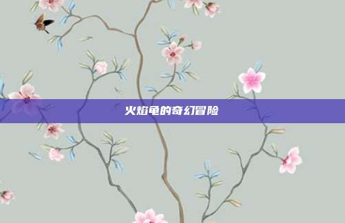 火焰龟的奇幻冒险
