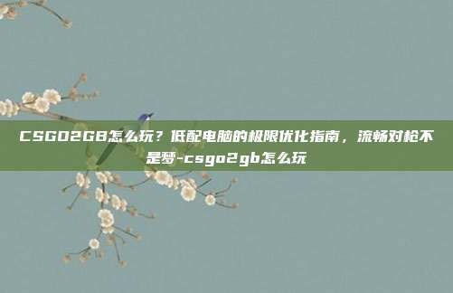 CSGO2GB怎么玩?低配电脑的极限优化指南,流畅对枪不是梦-csgo2gb怎么玩