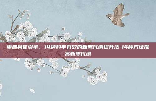 重启身体引擎，14种科学有效的新陈代谢提升法-14种方法提高新陈代谢