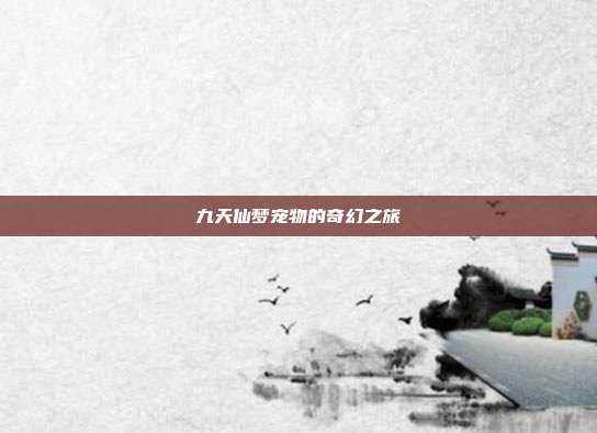九天仙梦宠物的奇幻之旅