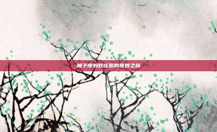 柚子皮蚂蚁庄园的奇妙之旅