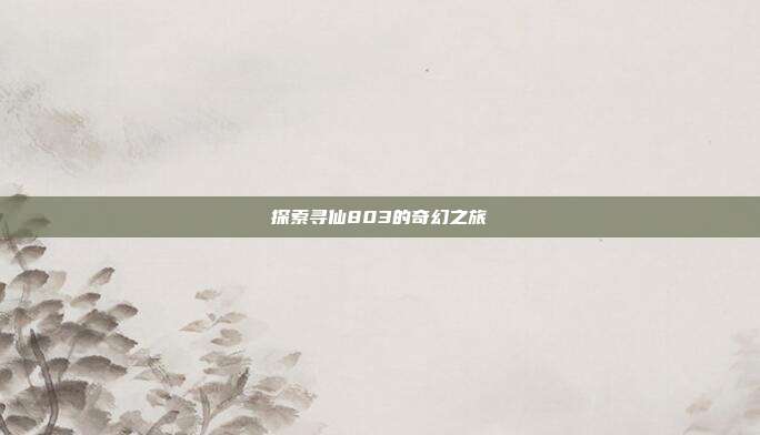 探索寻仙803的奇幻之旅