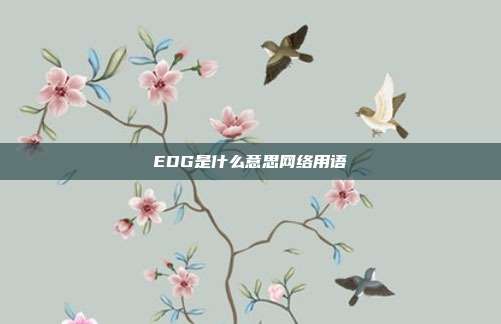 EDG是什么意思网络用语