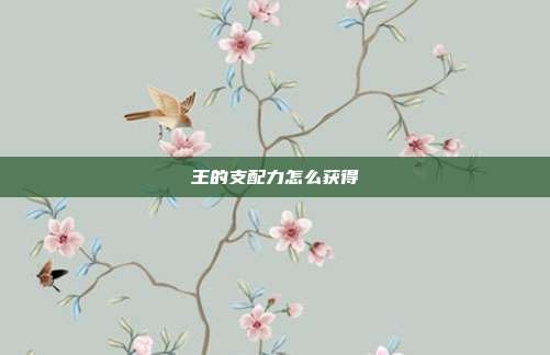 王的支配力怎么获得