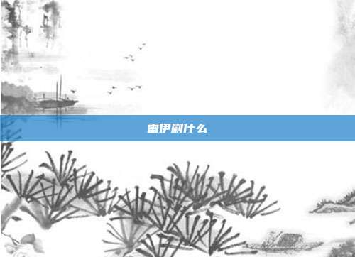 雷伊刷什么