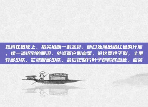 她蹲在田埂上,指尖掐断一截茎秆,断口处涌出暗红色的汁液,像一滴迟到的眼泪。外婆管它叫血菜,说这菜性子烈,土里有多少铁,它就吸多少铁,最后把整片叶子都喝成血色。血菜