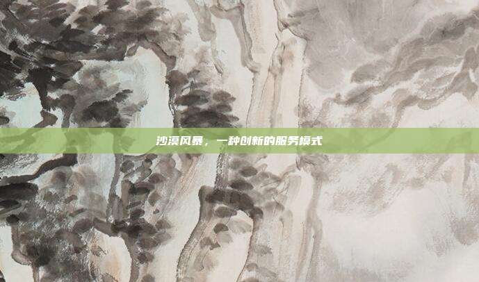沙漠风暴,一种创新的服务模式