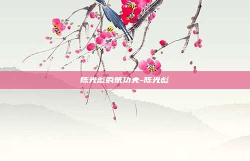 陈光彪的笨功夫-陈光彪