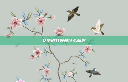 女生说打野是什么意思