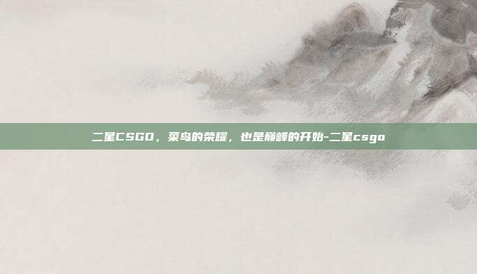 二星CSGO,菜鸟的荣耀,也是巅峰的开始-二星csgo