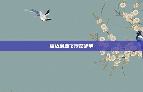 潘达利亚飞行在哪学