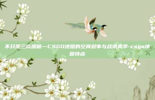 不只是三点爆破—CSGO地图的空间叙事与战术美学-csgo地图特点