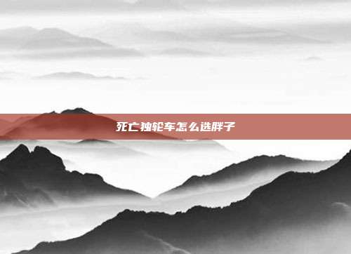 死亡独轮车怎么选胖子