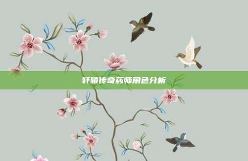 轩辕传奇药师角色分析