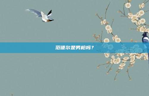 范德尔是男枪吗？