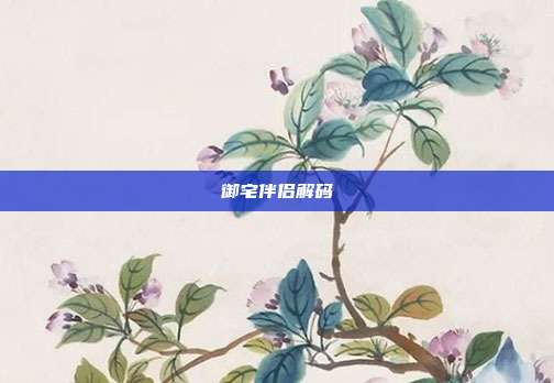 御宅伴侣解码