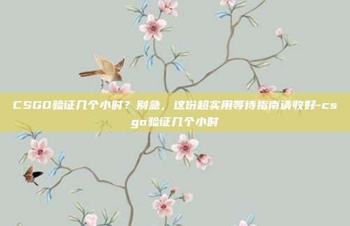 CSGO验证几个小时?别急,这份超实用等待指南请收好-csgo验证几个小时