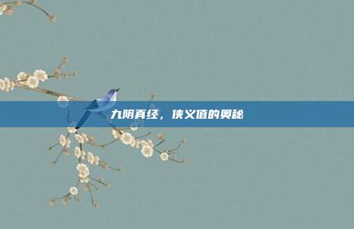 九阴真经，侠义值的奥秘
