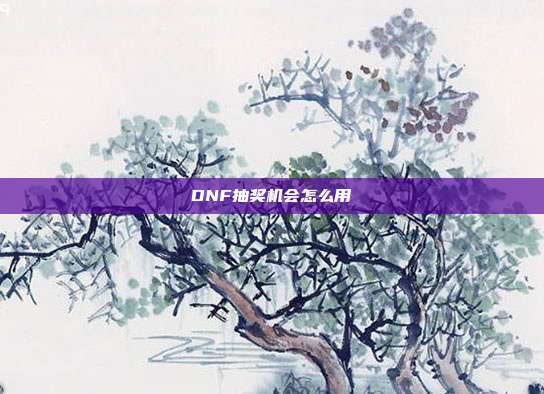 DNF抽奖机会怎么用