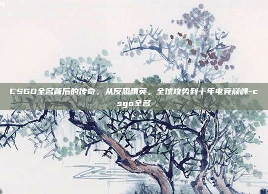 CSGO全名背后的传奇，从反恐精英，全球攻势到十年电竞巅峰-csgo全名