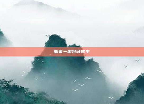 胡莱三国将领转生