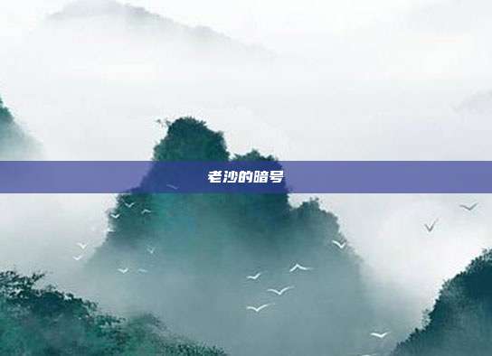 老沙的暗号