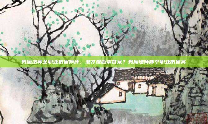 男魔法师全职业伤害横评，谁才是版本答案？男魔法师哪个职业伤害高