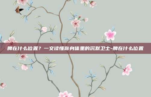 脾在什么位置？一文读懂你身体里的沉默卫士-脾在什么位置