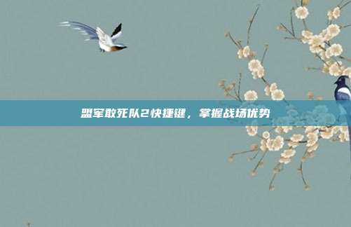 盟军敢死队2快捷键，掌握战场优势