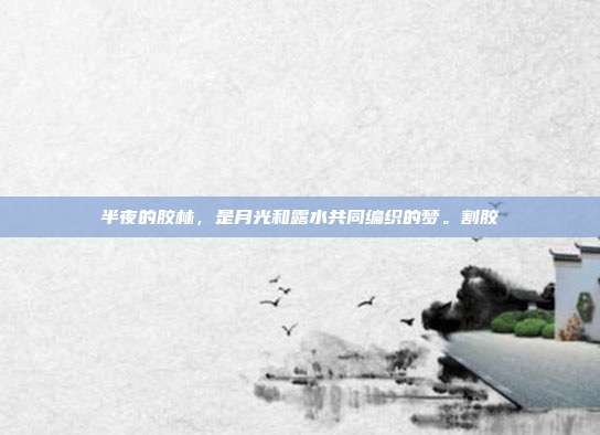 半夜的胶林，是月光和露水共同编织的梦。割胶
