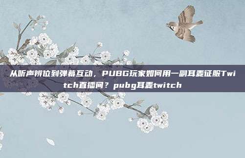 从听声辨位到弹幕互动，PUBG玩家如何用一副耳麦征服Twitch直播间？pubg耳麦twitch